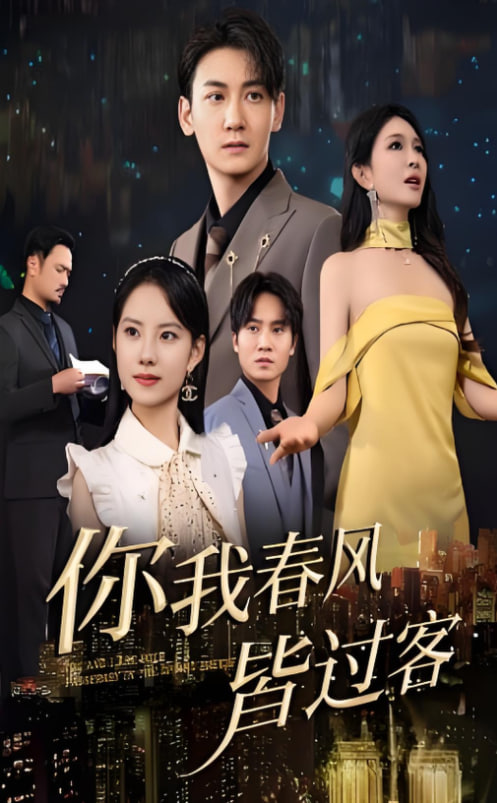 你我春风皆过客封面图