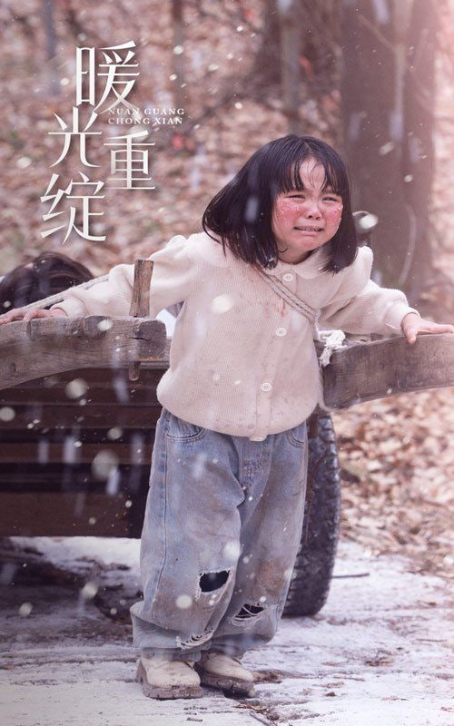 暖光重绽封面图