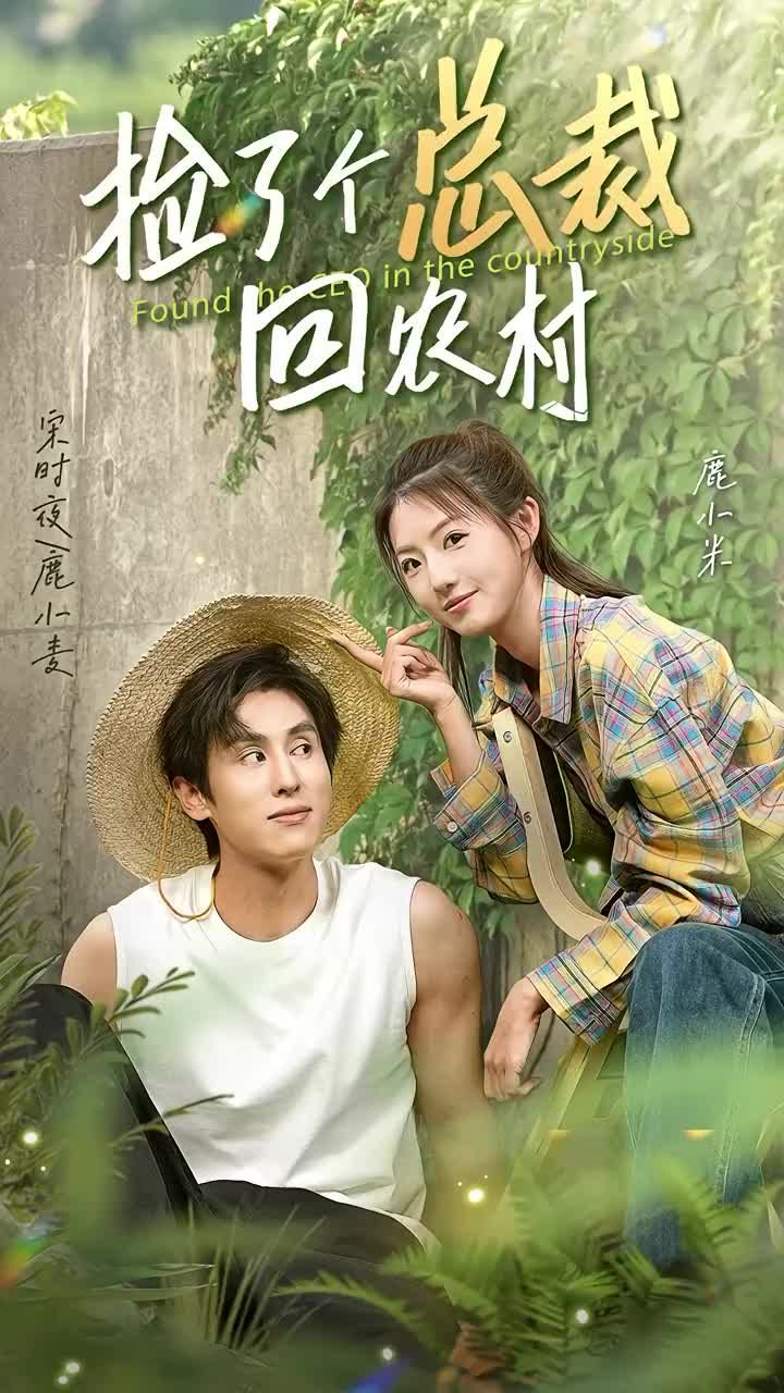 捡了个总裁回农村封面图