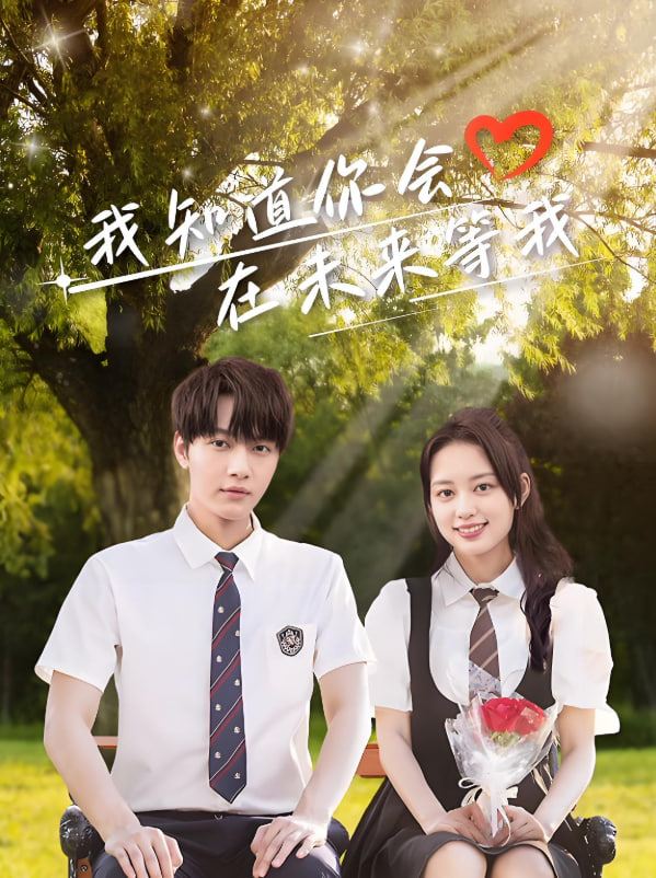 我知道你会在未来等我封面图