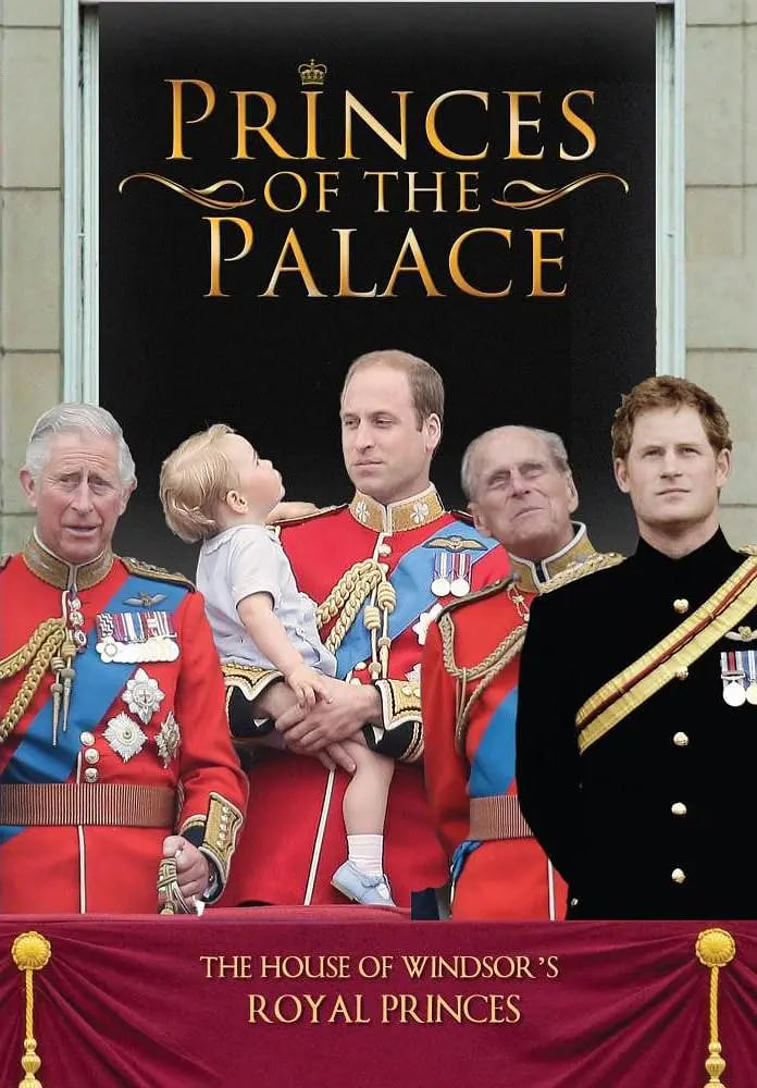 宫廷王子封面图