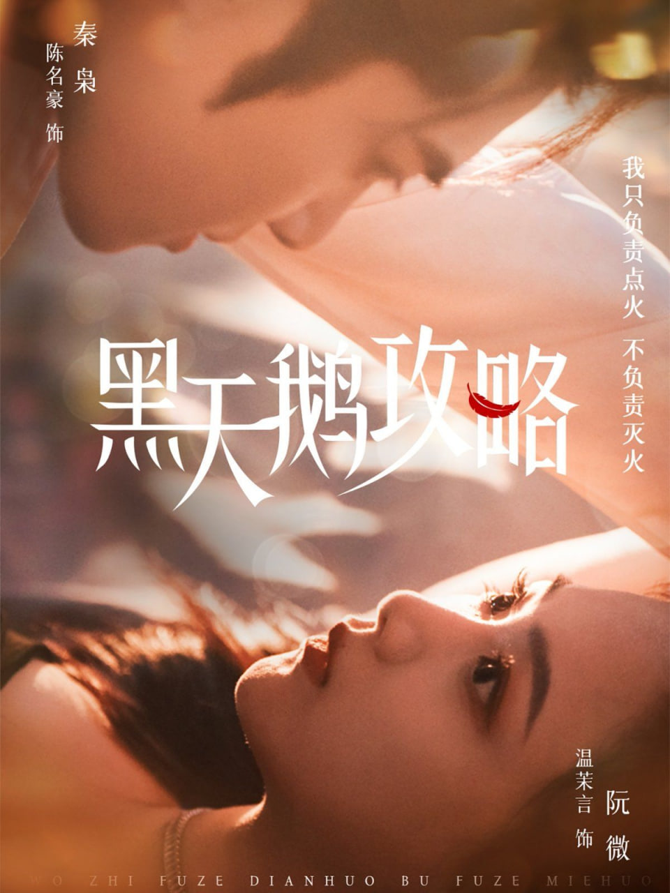 黑天鹅攻略封面图