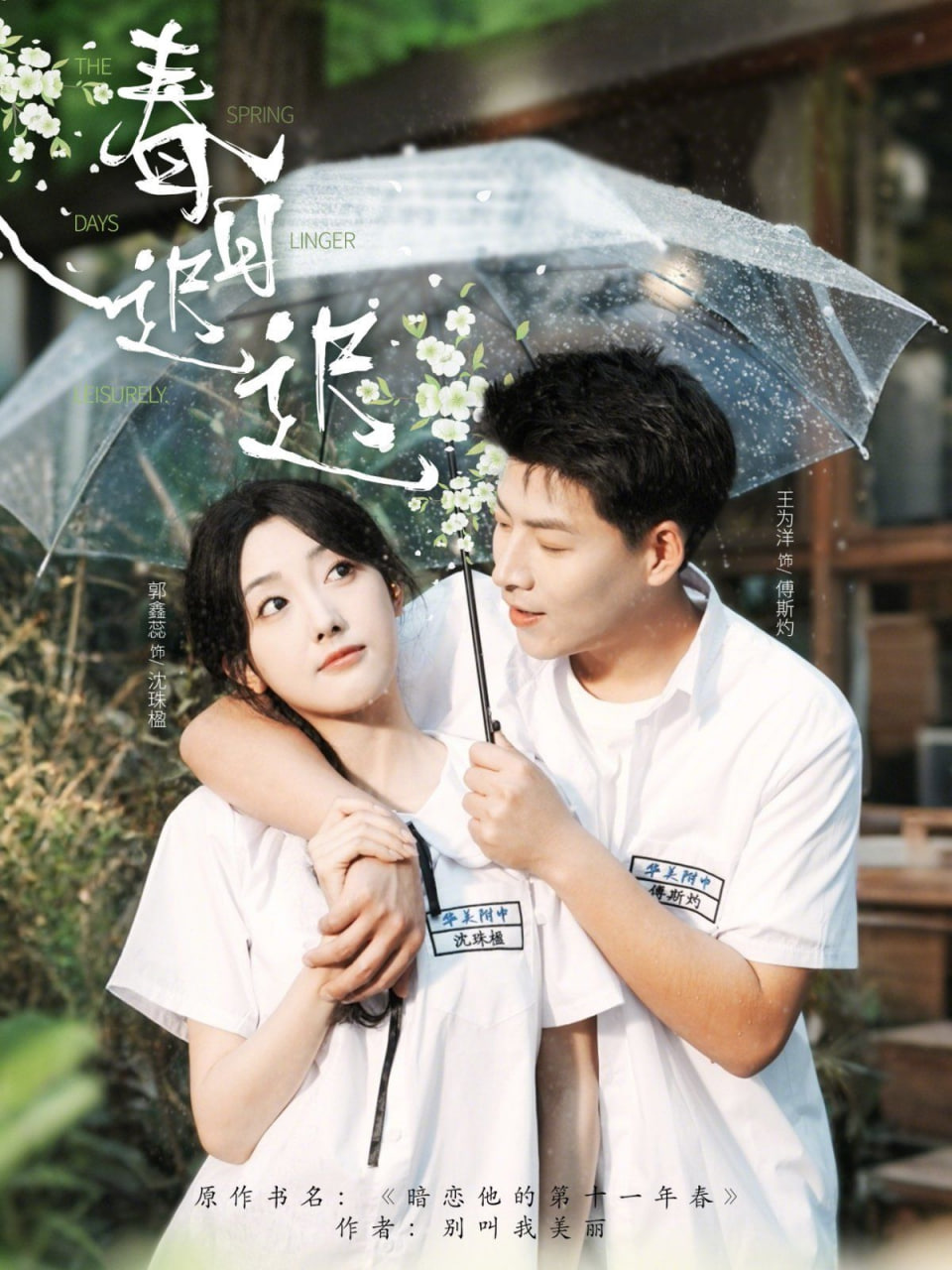 春日迟迟封面图