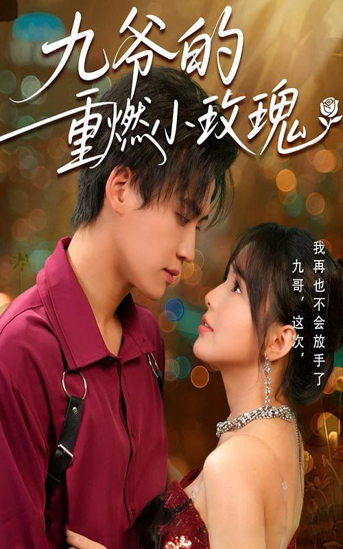 九爷的重燃小玫瑰封面图