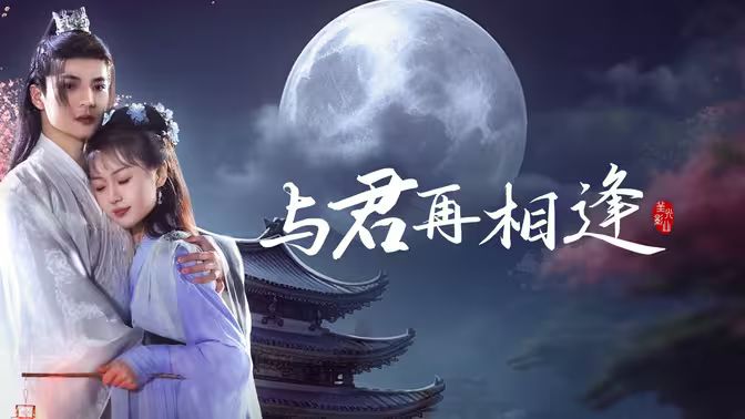 与君再相逢封面图