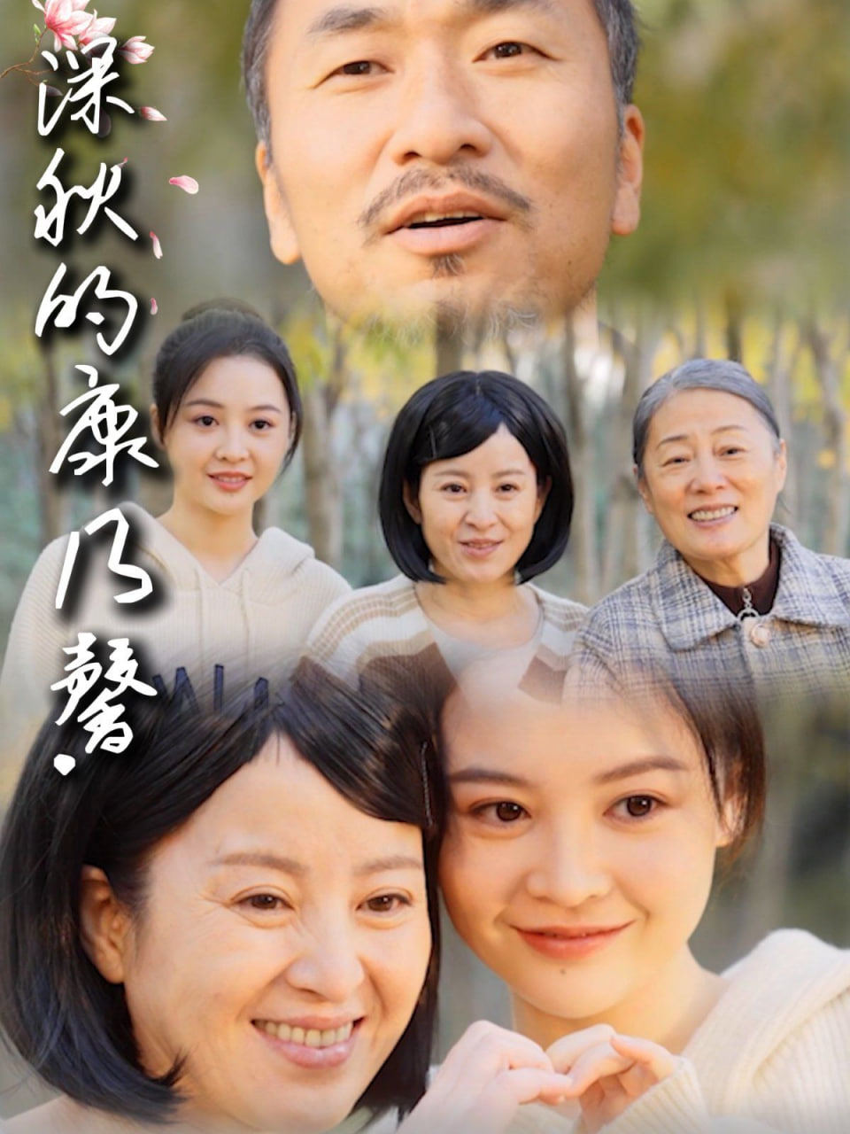 深秋的康乃馨封面图