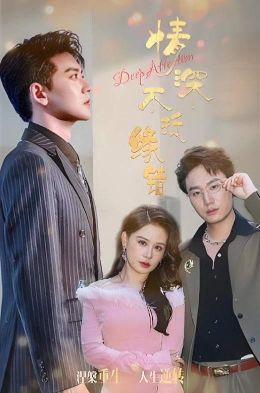 情深不抵缘错封面图