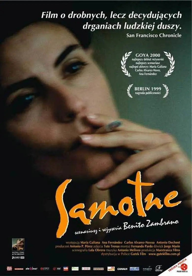 天涯寻梦封面图