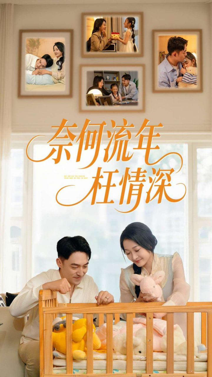 新奈何流年枉情深封面图