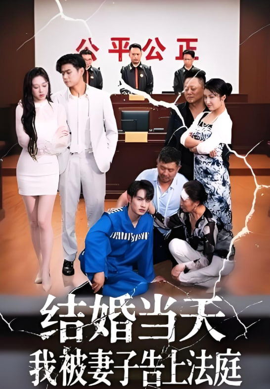 结婚当天我被妻子告上法庭封面图