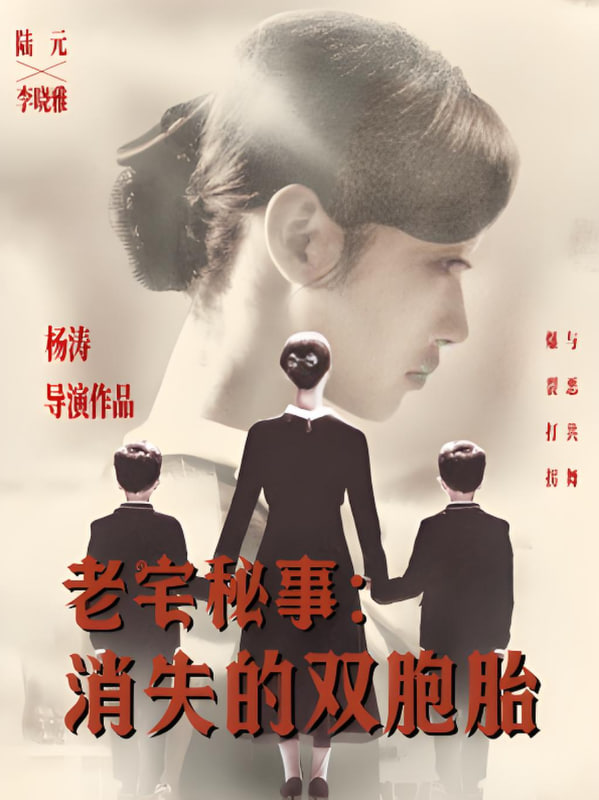 老宅秘事消失的双胞胎（消失的孩子）封面图