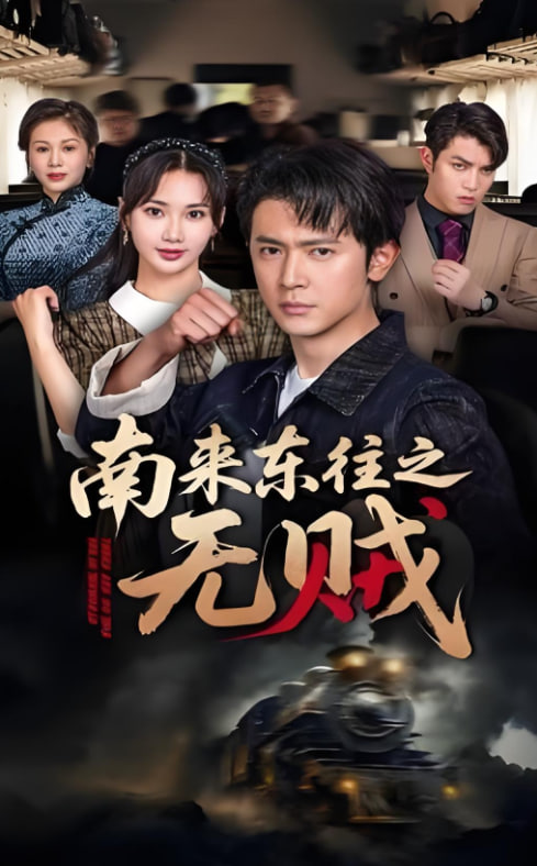 南来东往之无贼封面图