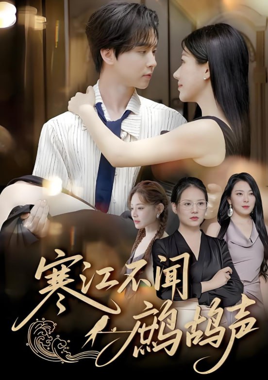 寒江不闻鹧鸪声封面图