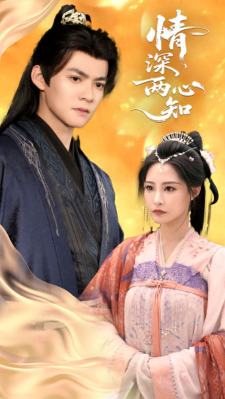 情深两心知封面图