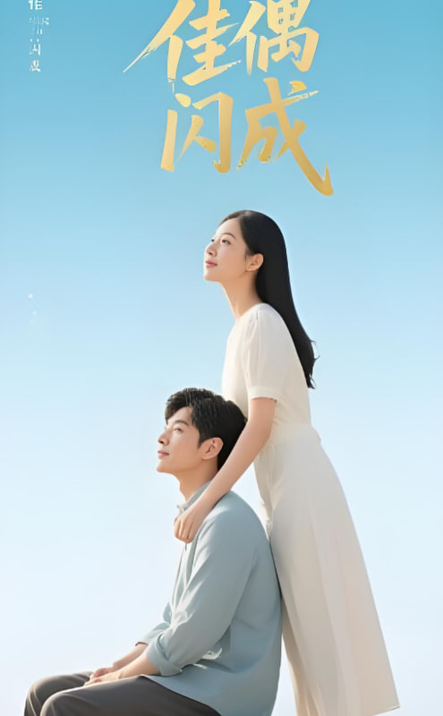 佳偶闪成（假婚真爱）封面图