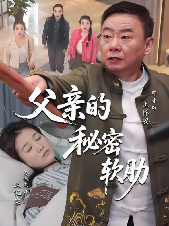 父亲的秘密软肋封面图