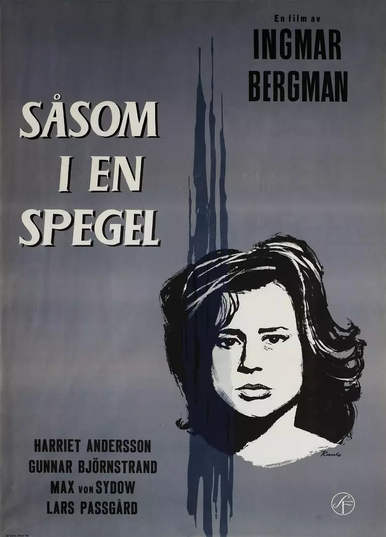 犹在镜中封面图