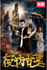 夜访古墓封面图