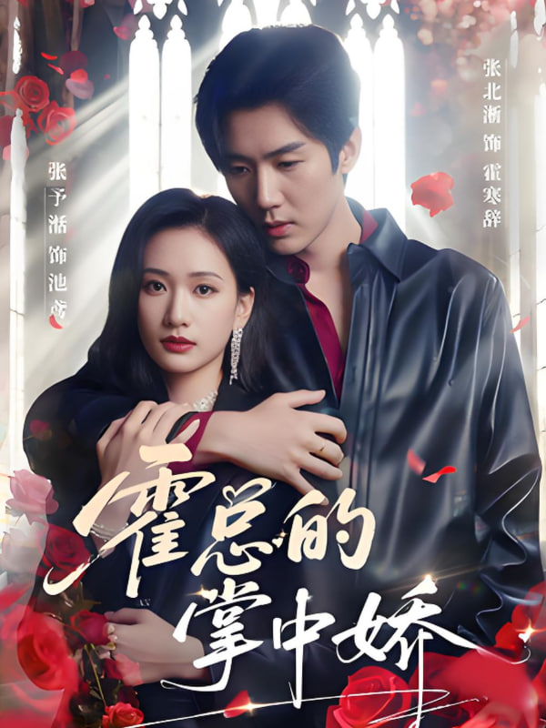 霍总的掌中娇封面图