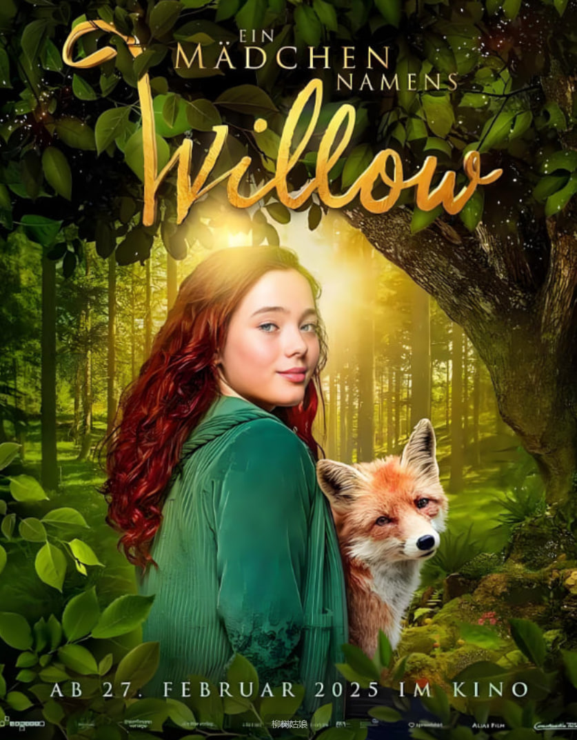 柳树姑娘封面图