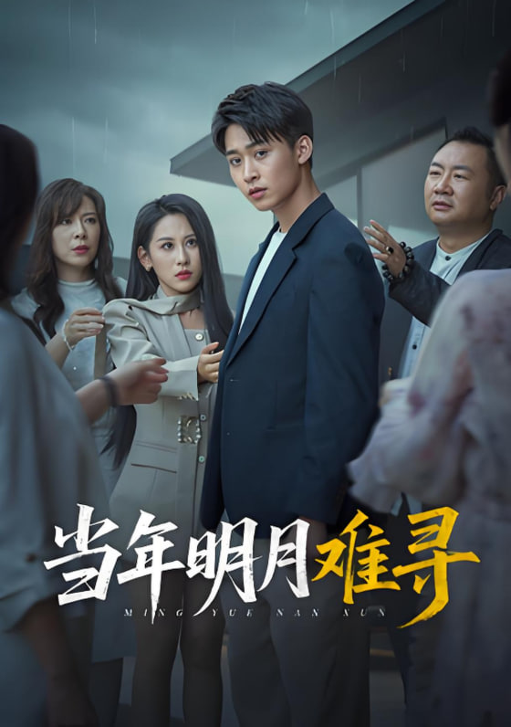 当年明月难寻封面图