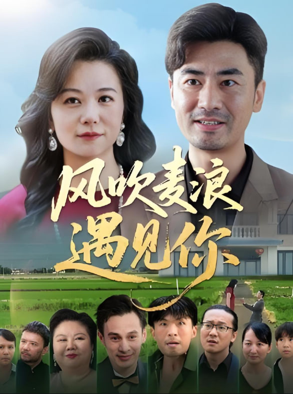 风吹麦浪遇见你封面图