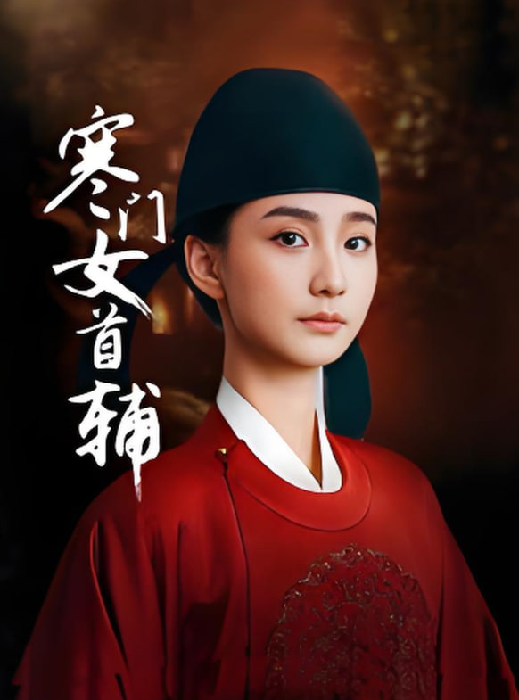 寒门女首辅封面图