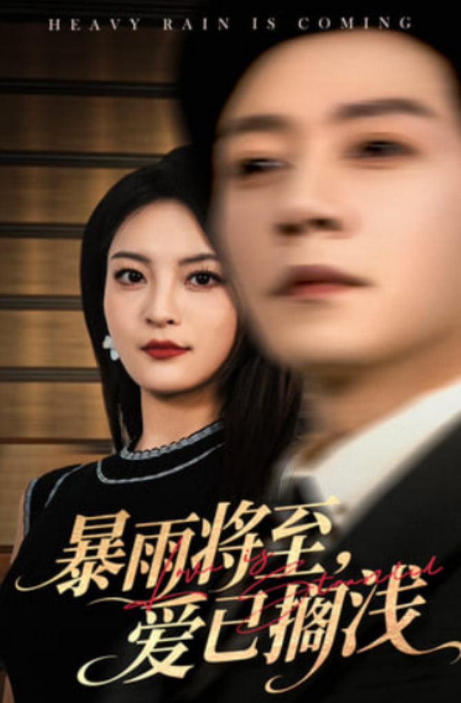 暴雨将至爱已搁浅封面图