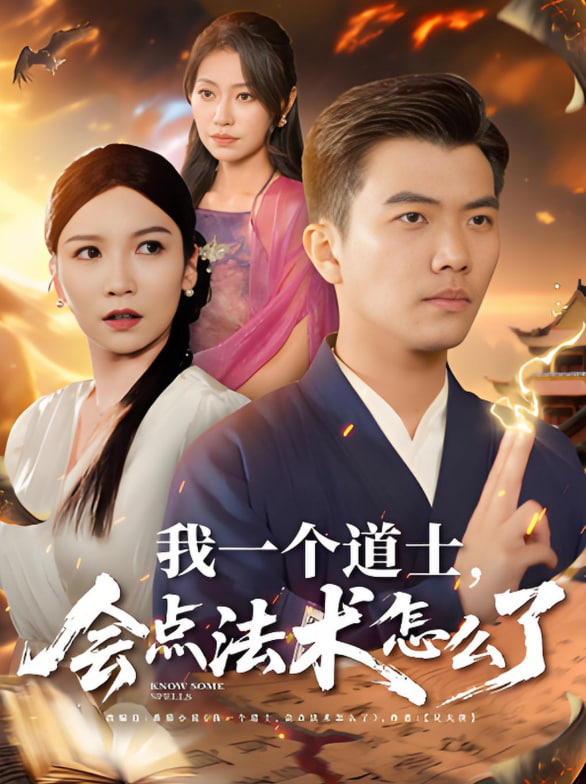 我一个道士会点法术怎么了封面图