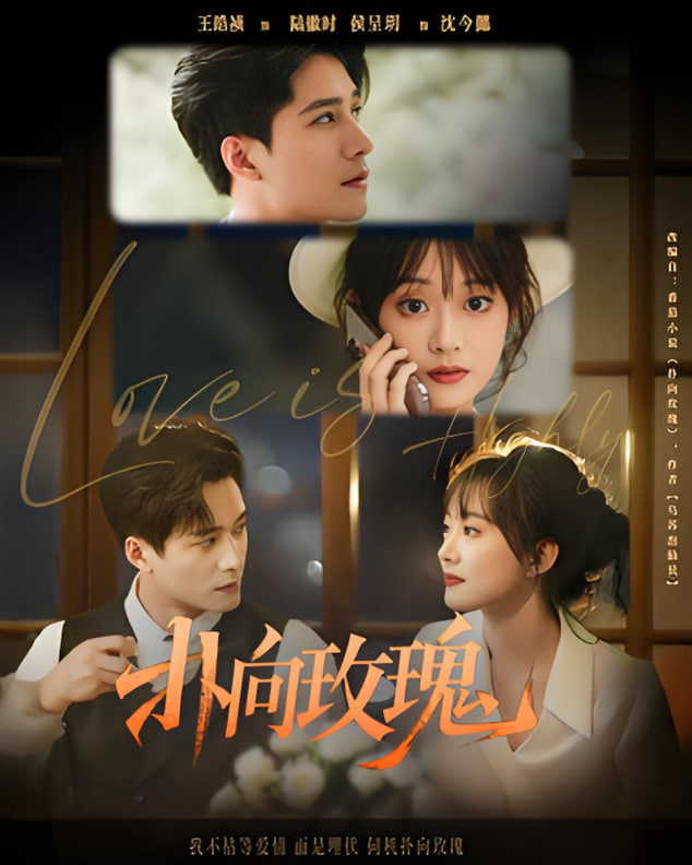 扑向玫瑰封面图