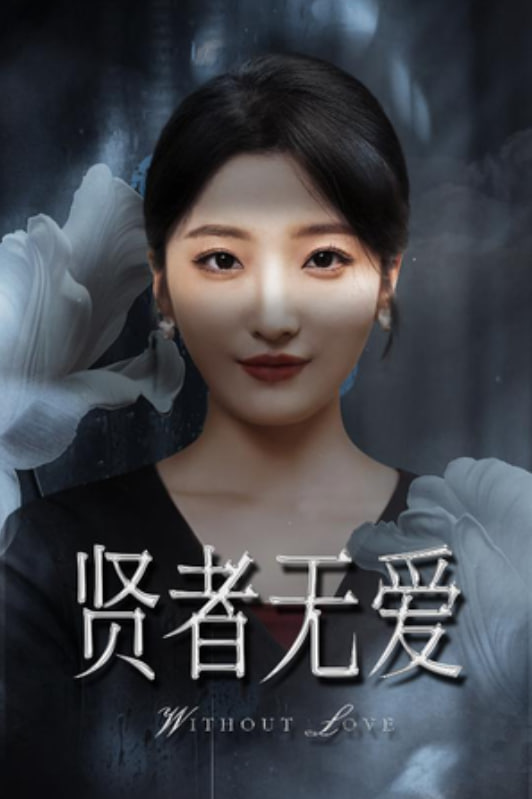 贤者无爱封面图