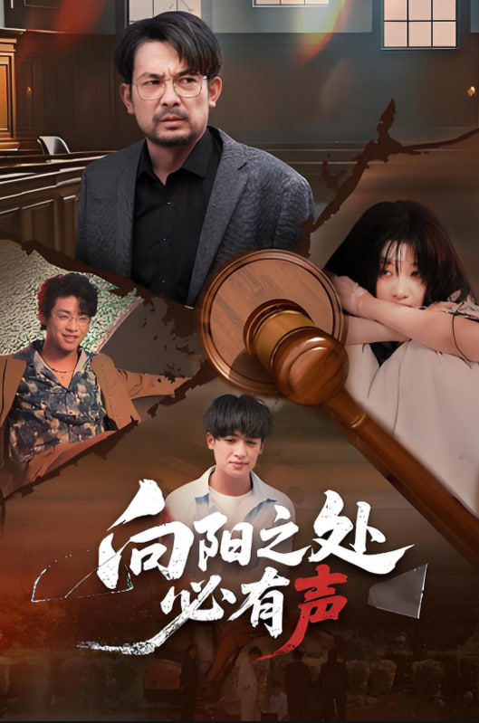 向阳之处必有声封面图