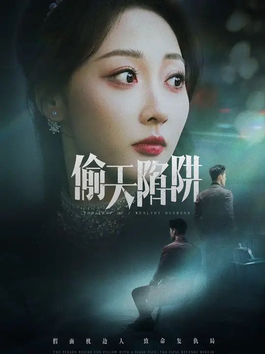 偷天陷阱封面图