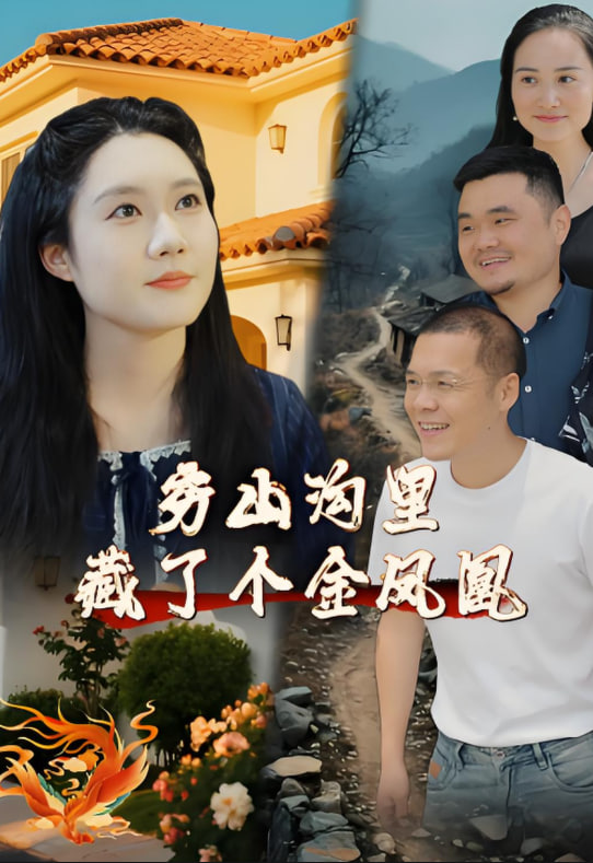 穷山沟里藏了个金凤凰封面图