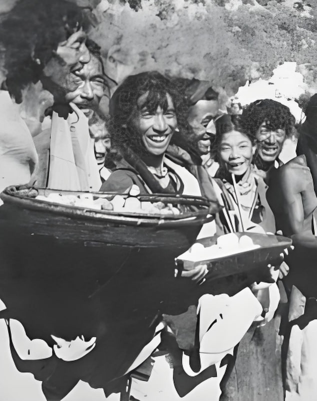 昌都战役封面图