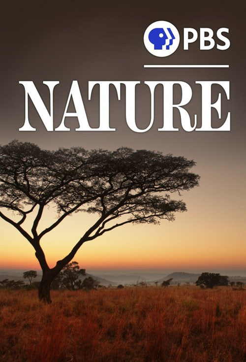 自然 第四十二季封面图