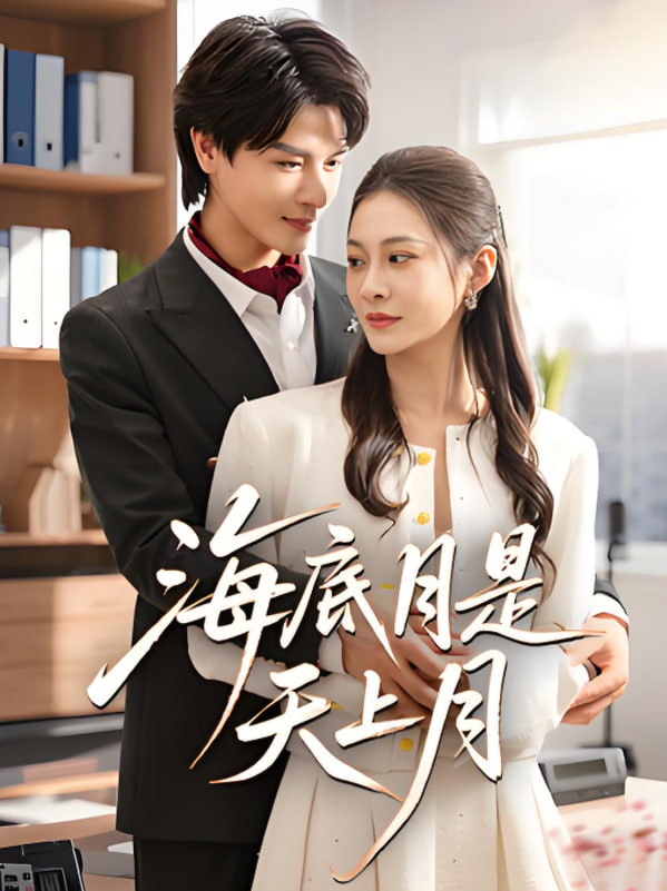 海底月是天上月封面图