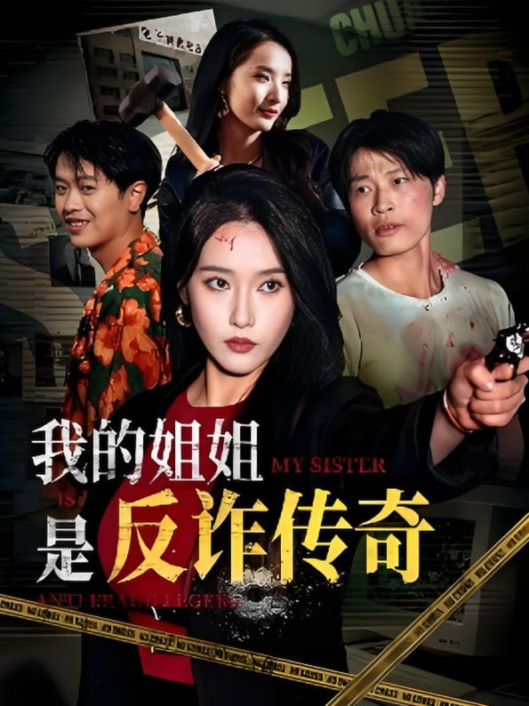 我的姐姐是反诈传奇封面图