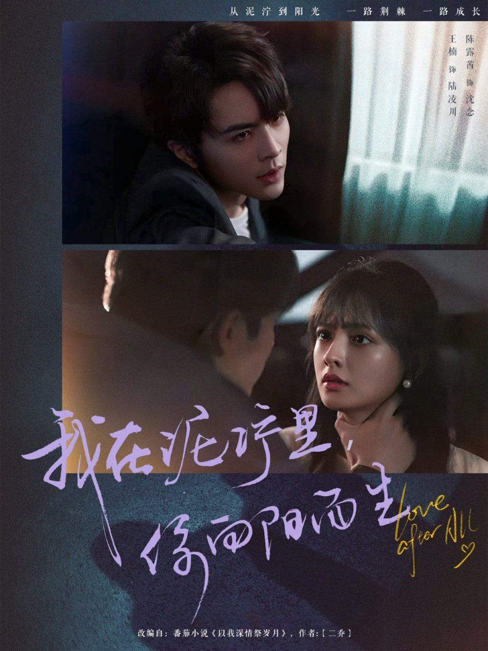 我在泥泞里你向阳而生封面图