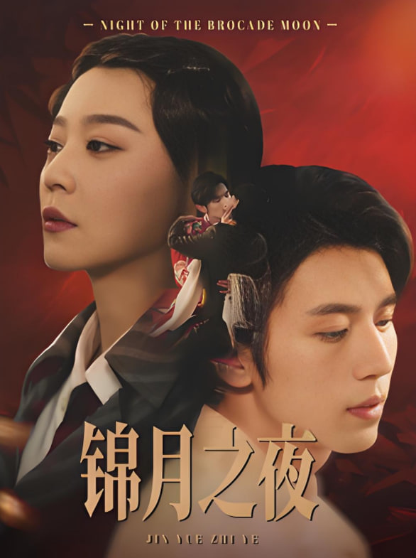 锦月之夜封面图