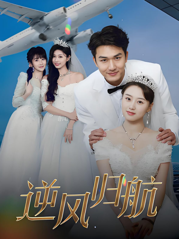 逆风归航封面图