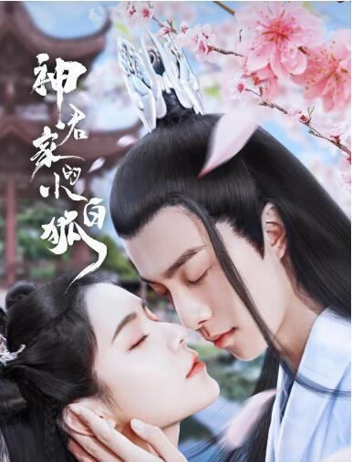 神君家的小白狐封面图