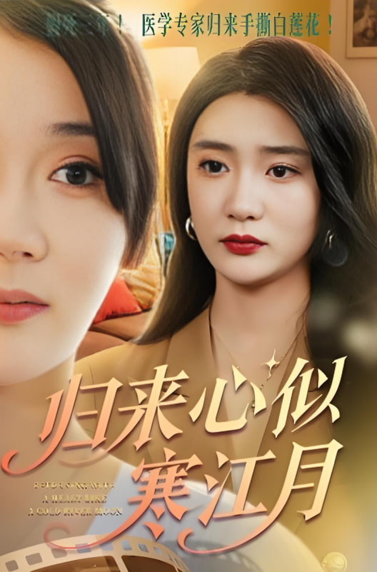 归来心似寒江月封面图