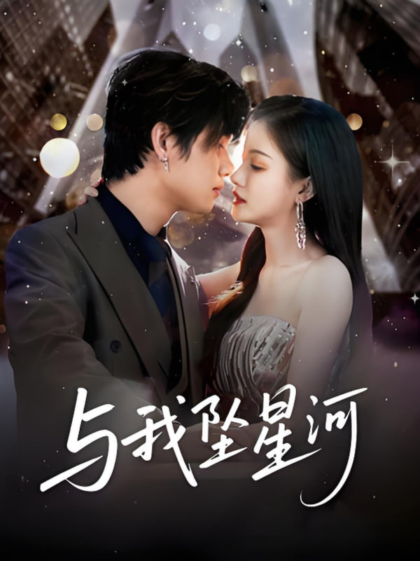 与我坠星河封面图