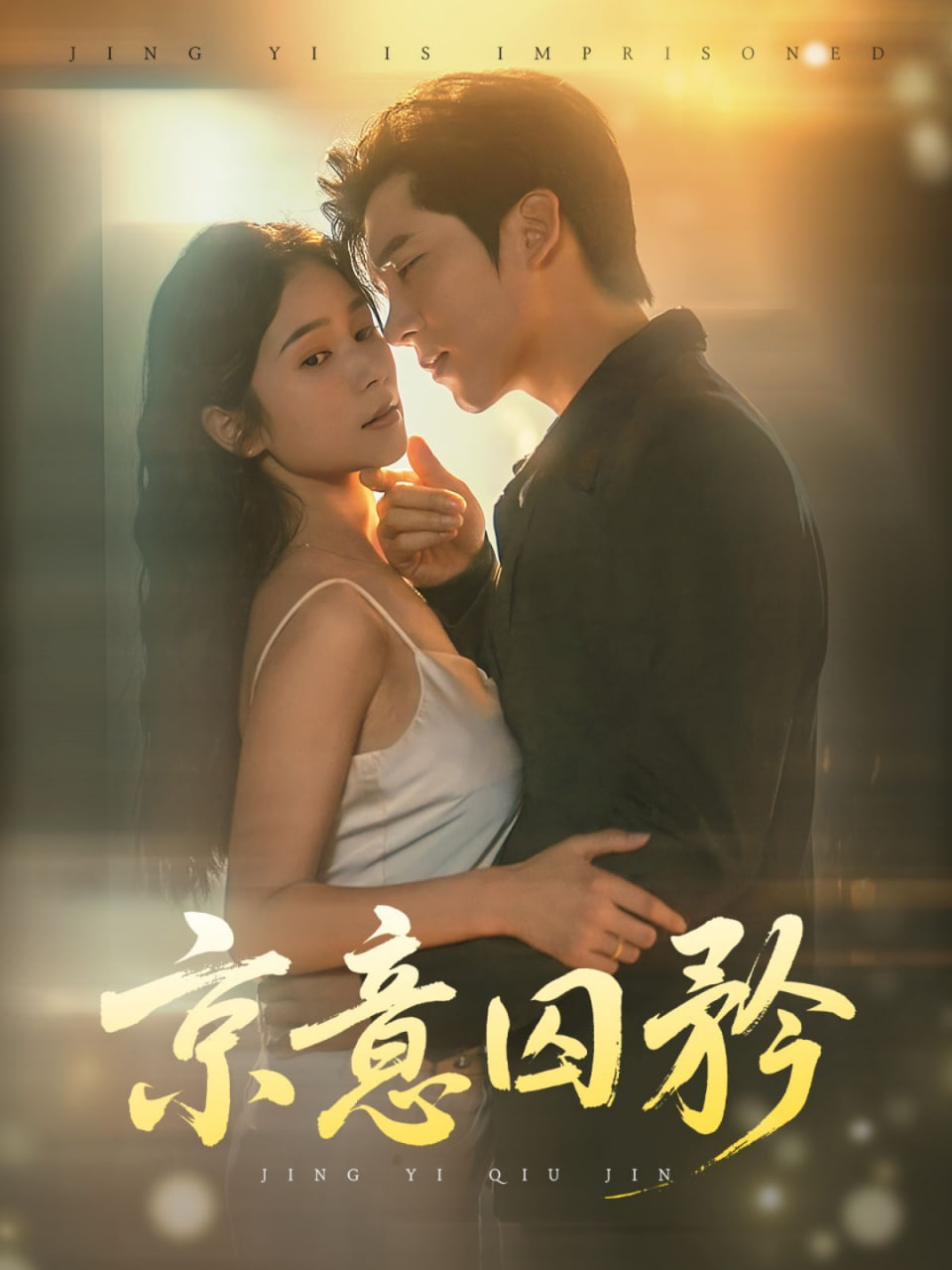 京意囚矜封面图