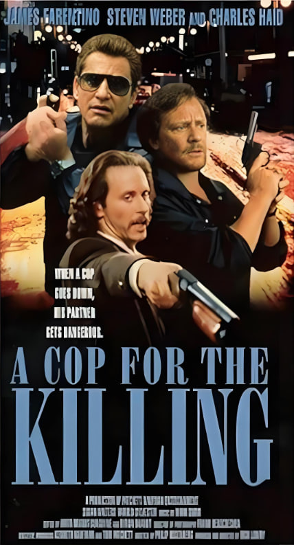 卧底密探封面图