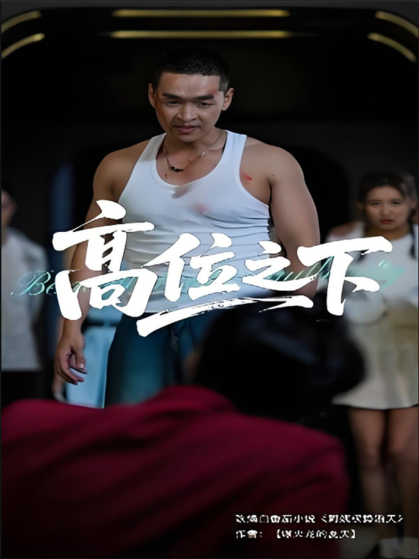 高位之下封面图