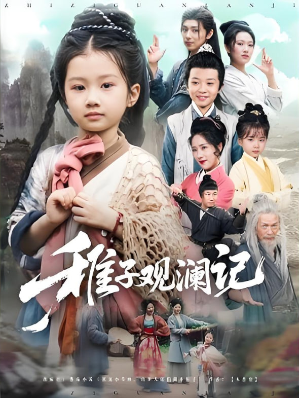 稚子观澜记封面图