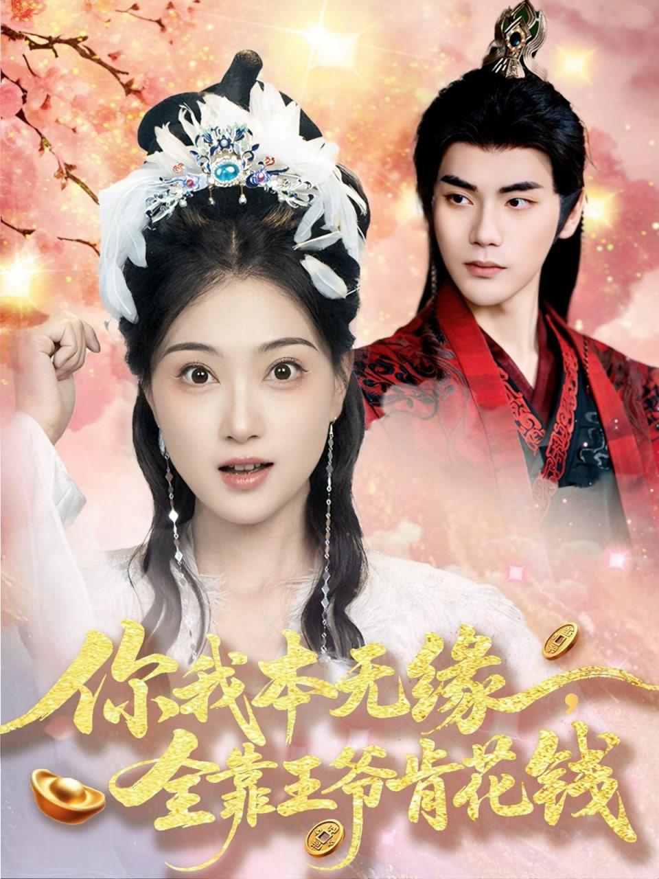 你我本无缘全靠王爷肯花钱封面图