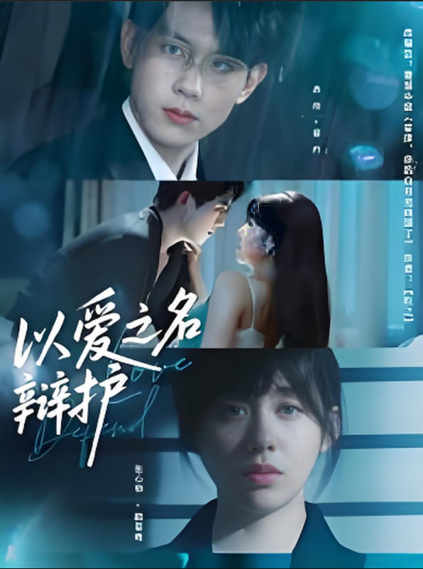 以爱之名辩护封面图